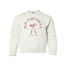 Load image into Gallery viewer, Dainty Reds Gildan youth sweater